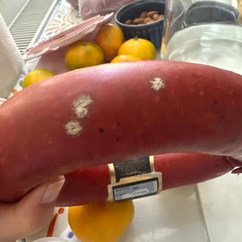 Aldığım Dana Sucukta Son Kullanma Tarihi Geçmemesine Rağmen Küf Oluştu