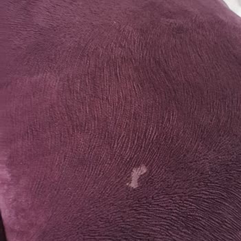 Elazığ Öğretmenevi’nde Hijyen Sorunu Ve İlgisiz Yaklaşım