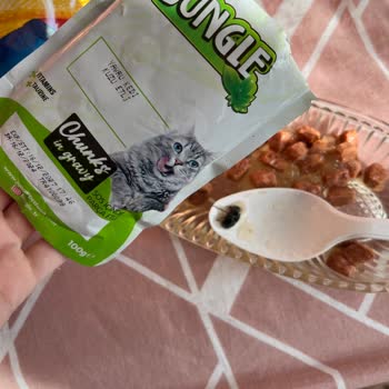 Jungle Pet Food Kedi Mamasından Ölü Sinek Çıktı, Müşteri Hizmetlerinden Dönüş Alamadım!