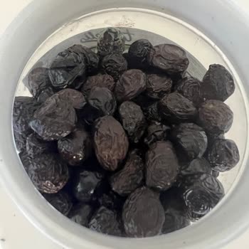 Taneli Zeytin | Taneli.com.tr Ürünü Açtıktan Bir Gün Sonra Zeytinlerin Üzerinde Küflenme Oluştu!