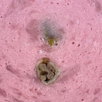 Pınar Hindi Fıstıklı Salamda Kurt Şoku: Sağlığımız Tehlikede!