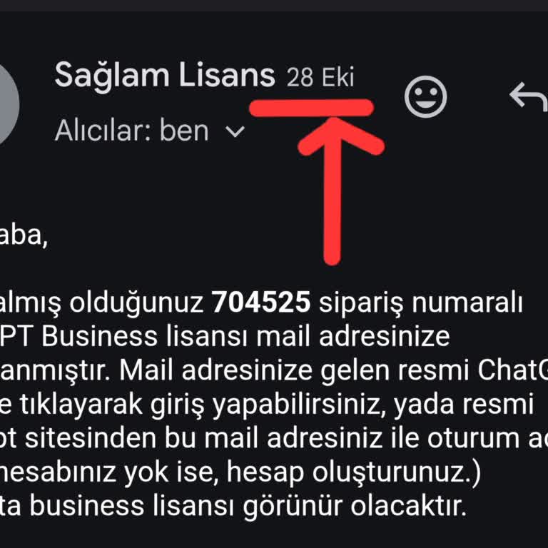 Satın Aldığım Lisans Sürekli Kapanıyor Ve Bilgilerim Siliniyor