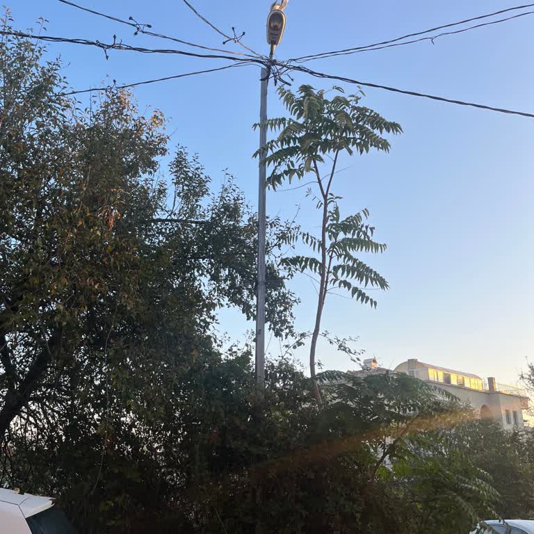 Bir Haftadır Yanmayan Sokak Lambası Nedeniyle Karanlıkta Kalan Mahalle Ve Güvensizlik