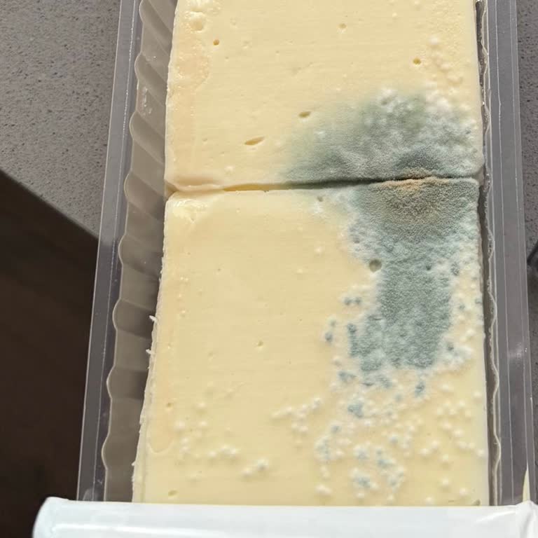 Son Kullanma Tarihi Geçmemiş Peynir Küflü Çıktı, Ürün Değişimi Ve Telafi Talebi
