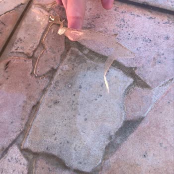 Teras İzolasyonu Sorunu Ve Verilen Sözlerin Tutulmaması