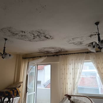 Teras İzolasyonu Sorunu Ve Verilen Sözlerin Tutulmaması