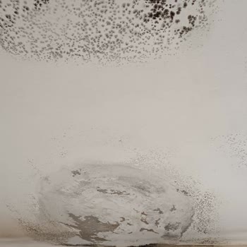 Teras İzolasyonu Sorunu Ve Verilen Sözlerin Tutulmaması