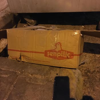 Soğuk Zincir Ürünüm Teslim Edilmedi, Zararım Karşılanmadı