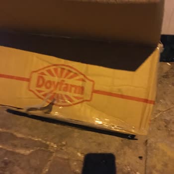 Soğuk Zincir Ürünüm Teslim Edilmedi, Zararım Karşılanmadı