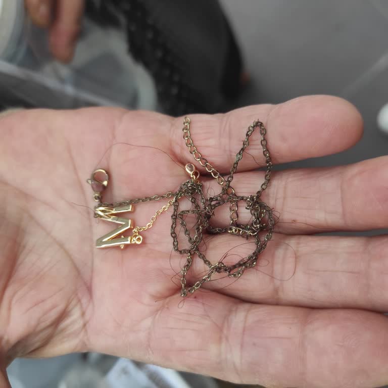 Kararan Çelik Kolye Ve İlgisiz Mağaza Personeli Nedeniyle Hayal Kırıklığı