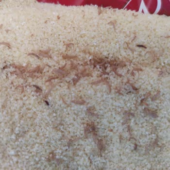 Filiz Helvada Kurt Çıkması Nedeniyle Sağlık Endişesi Ve Güven Kaybı Yaşadım