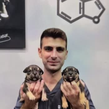 Sahte Köpek Sahiplendirme İlanıyla Karşılaştığım Olumsuz Deneyim