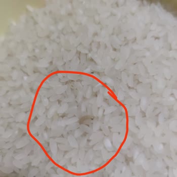 Yeni Açılan Pirinç Paketinden Kurtçuklar Çıktı, Güvenimiz Sarsıldı