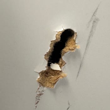 IKEA'dan Aldığım Karyola İlk Kullanımda Çöktü, Müşteri Hizmetlerinden Destek Alamıyorum