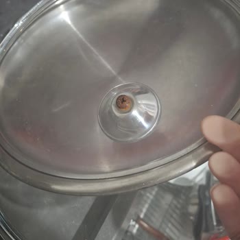 Taç Violet Sahan Takımında Sürekli Küflenme Sorunu Yaşadım