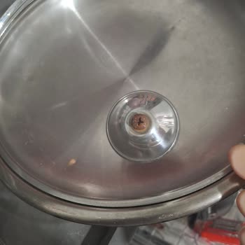 Taç Violet Sahan Takımında Sürekli Küflenme Sorunu Yaşadım