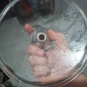 Taç Violet Sahan Takımında Sürekli Küflenme Sorunu Yaşadım