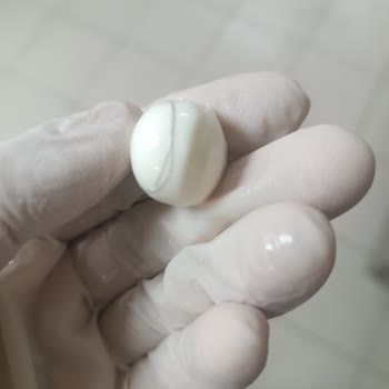 Peynirin İçinden Çıkan Kıl Ailemizi Tedirgin Etti