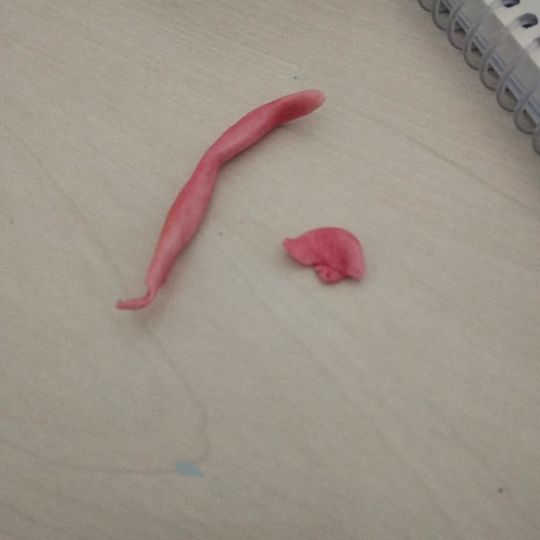 Big Babol Sakızda Plastik Gibi Doku Ve Yapışmama Sorunu