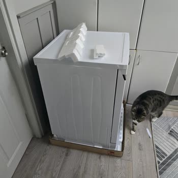 Arçelik Defolu Bulaşık Makinesi Değişimi İçin Çözüm Bekliyorum