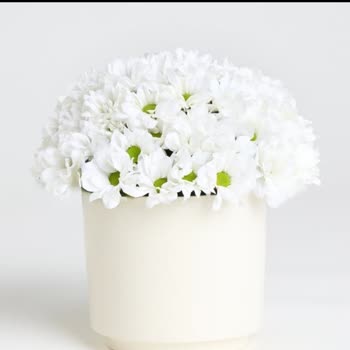 Çiçek Sepeti Görseldekiyle Alakasız Çiçek Ve İade Sorunu Yaşıyorum