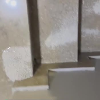 Trendyol Kedi Kumu Kapıya Bırakılmış!