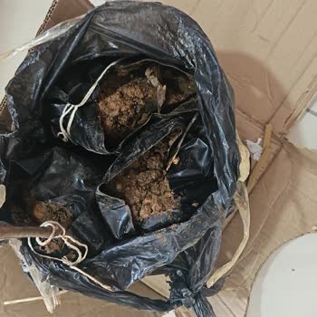 Kurumuş Ve Kırık Üzüm Asması, Eksik Gönderim Mağduriyeti