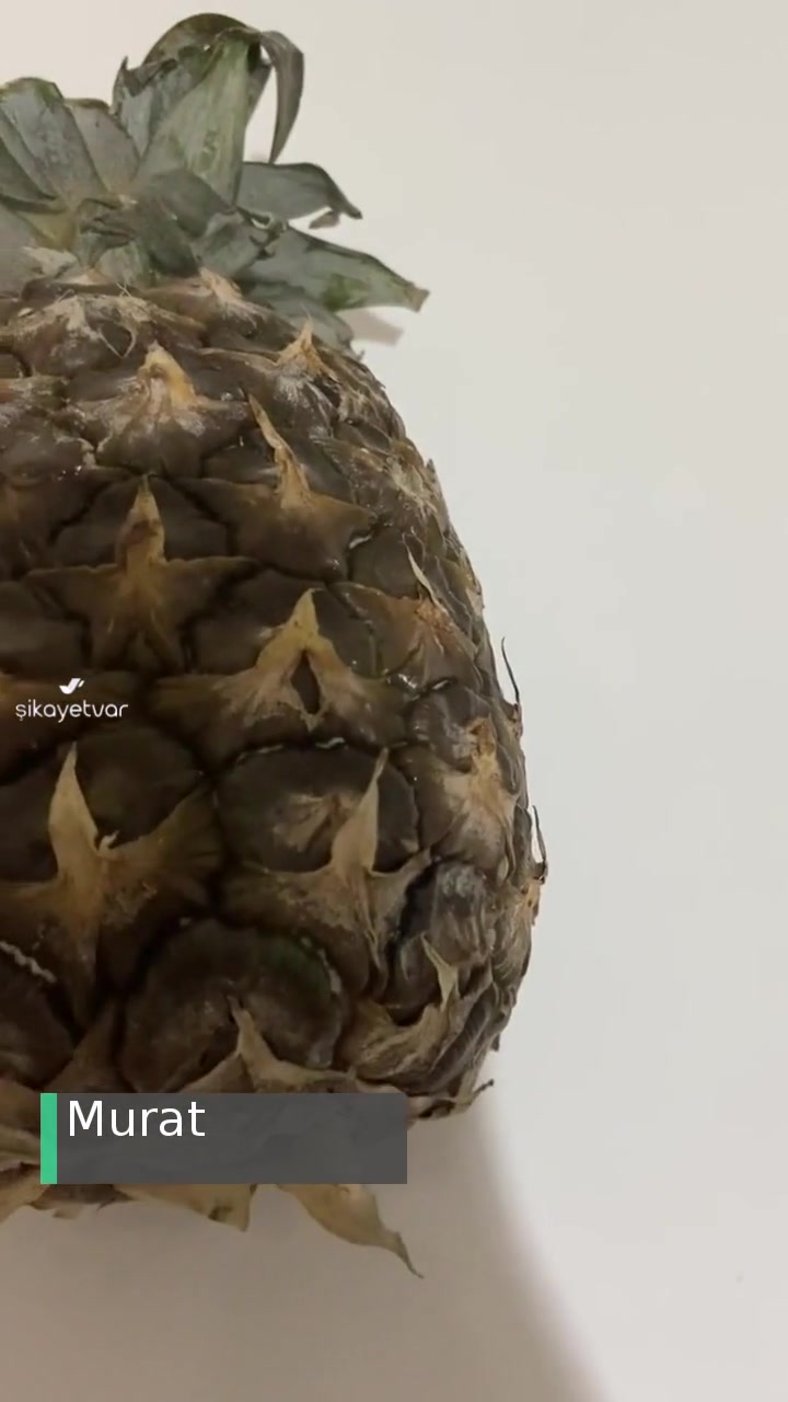 Trendyol Hızlı Market Küflü Ananas Getirdi! videonun kapak resmi