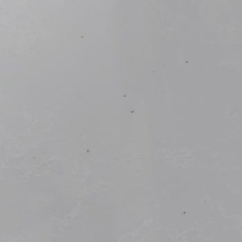 Belenco Garantili Üründe Delikler Ve Kararma Sorunu, Firma Dönüş Yapmıyor