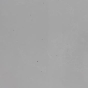 Belenco Garantili Üründe Delikler Ve Kararma Sorunu, Firma Dönüş Yapmıyor