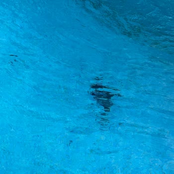 Jolly Tur Isıtmalı Havuzlu Bungalovda Hijyen Ve Sıcaklık Sorunları Yaşadık