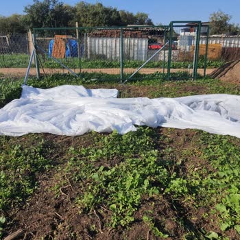 Yanlış Ürün Gönderimi Ve İletişimsizlik Mağduriyet Yaşattı