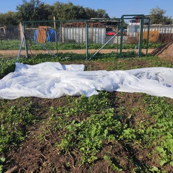 Yanlış Ürün Gönderimi Ve İletişimsizlik Mağduriyet Yaşattı