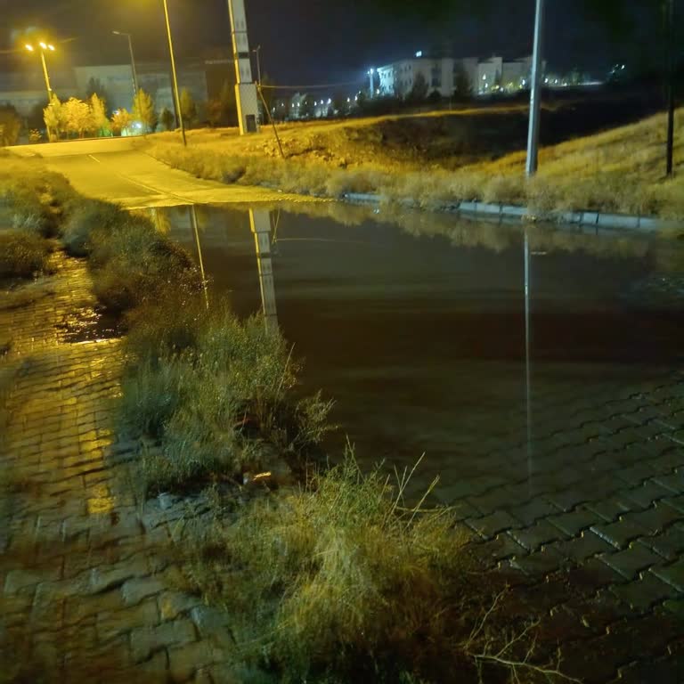 Kampüs Yolunda Süregelen Karanlık Güvenlik Riski Oluşturuyor