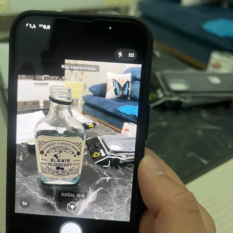 iPhone 16e Portrait Mode Person Not Detected Issue - Blurry Photos Fail