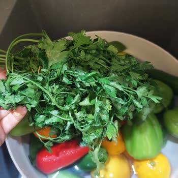 Siparişte Bozulmuş Ve Dişlenmiş Ürünler, Müşteri Hizmetlerinden Yanıtsızlık