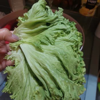 Siparişte Bozulmuş Ve Dişlenmiş Ürünler, Müşteri Hizmetlerinden Yanıtsızlık