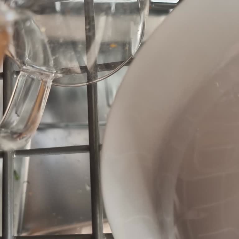 Yeni Alınan Bulaşık Makinesi Sürekli Kirli Çıkarıyor, Servisten Yetersiz Destek