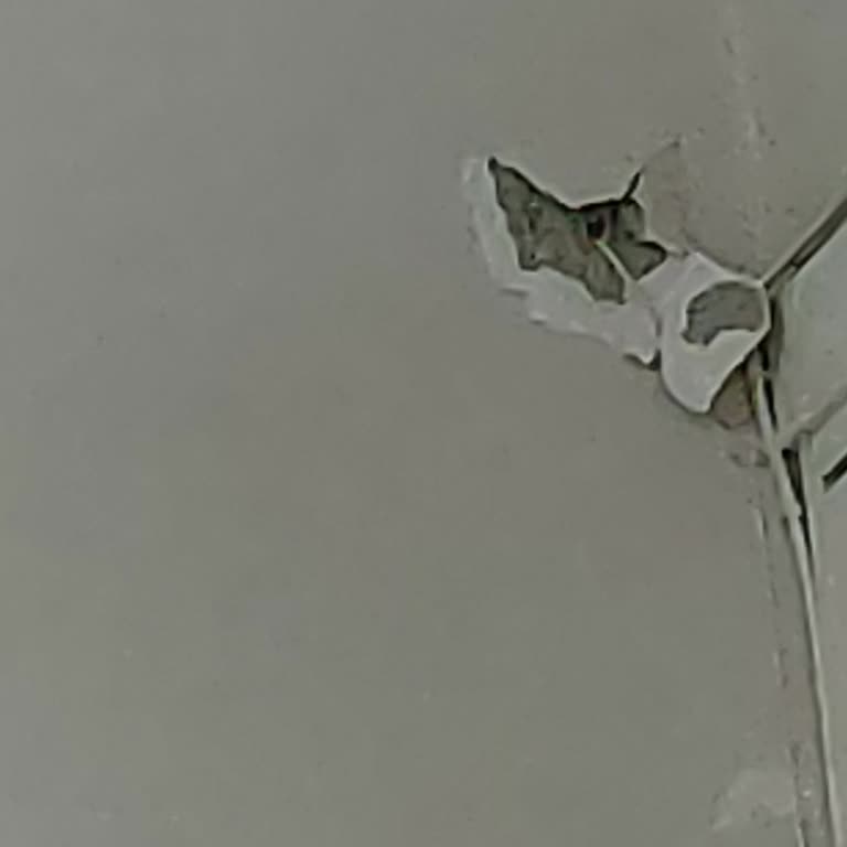 İnternet Kurulumu Sırasında Oluşan Duvar Hasarı Ve İlgisizlik