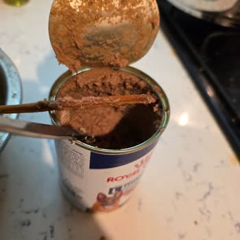 Köpek Mamasından Çıkan Odun Parçası Endişe Yarattı