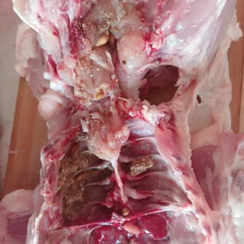 Tavuk Ürününde Kötü Koku Ve Hijyen Endişesi Yaşadım