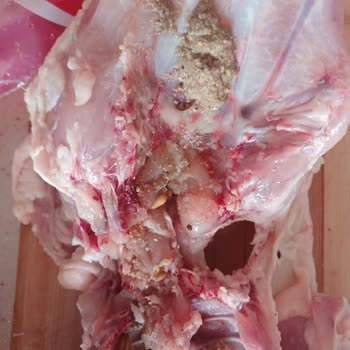 Tavuk Ürününde Kötü Koku Ve Hijyen Endişesi Yaşadım