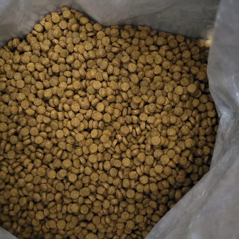 Satıcıdan Sahte Kedi Maması Ve Yetersiz Müşteri Hizmeti