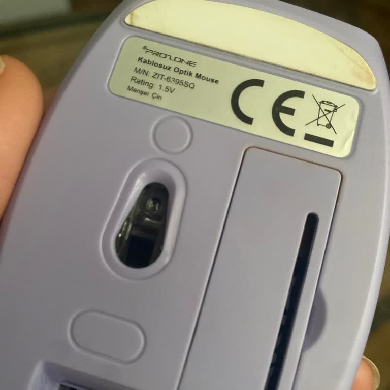 Kayıp USB Alıcısı İçin Prozone'dan Destek Alamıyorum, Mağduriyetim Sürüyor