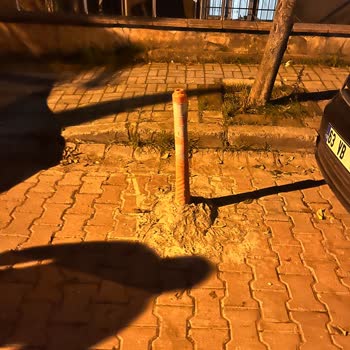 Kamuya Ait Park Alanlarının Şahıslara Tahsis Edilmesinden Şikayetçiyim