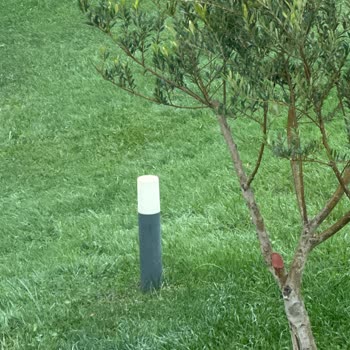 Satın Aldığım Ledvance Akıllı Bahçe Aydınlatmalarında Sürekli Bağlantı ve Arıza Sorunları