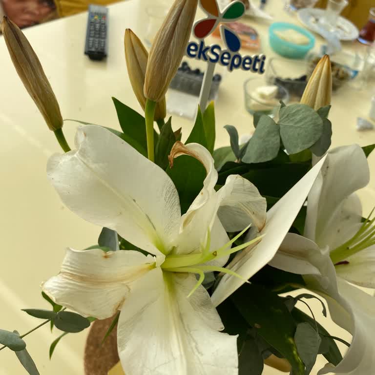 Solmuş Çiçekler Ve İlgisiz Müşteri Hizmetleriyle Yaşanan Tekrar Mağduriyet