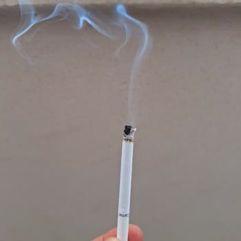 Camel Slender Blue Paketlerinde Kıymık Ve Tütün Kalitesi Sorunu