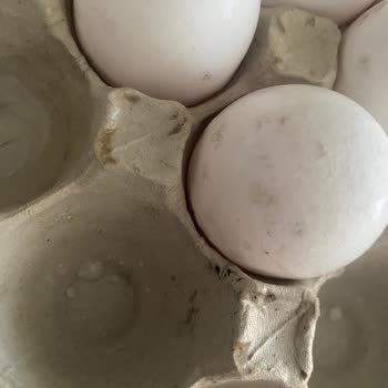 Carrefour'dan Aldığım Yumurtalar Çürük Çıktı, Sağlığım Tehlikeye Girdi