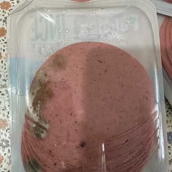 Migros Sanal Marketten Bozuk Ve Küflü Salam Gönderildi